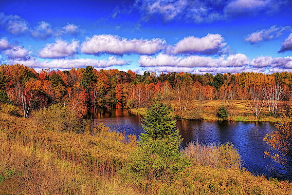 Fall Colors Over A Slough by Dale Kauzlaric Fall Colors Over A Slough by Dale Kauzlaric