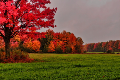 Images Of A Wisconsin Autumn